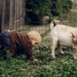 šeimos fotosesija su ožkytėmis
