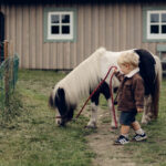 šeimos fotosesija su ožkytėmis